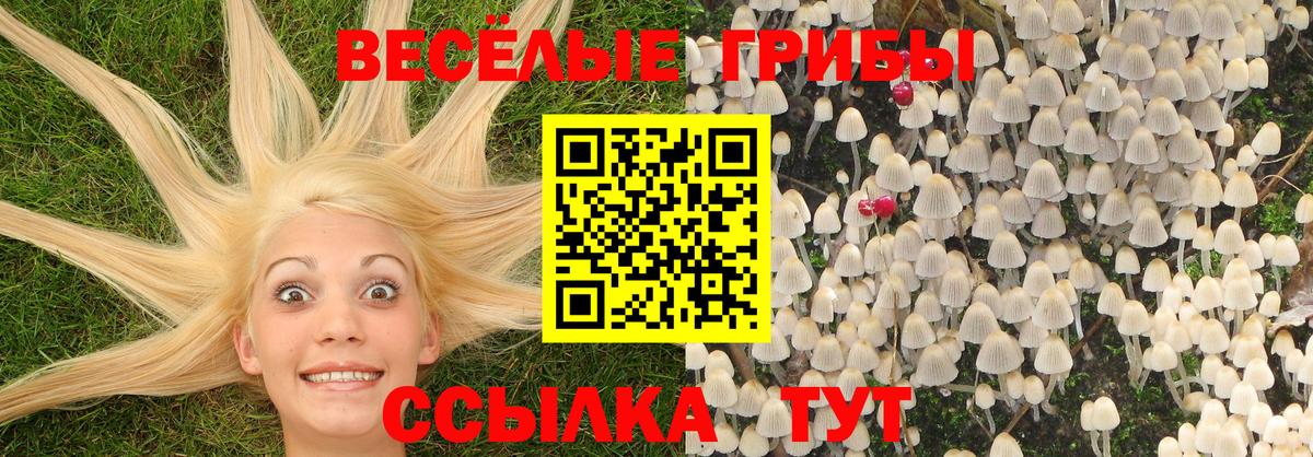 Псилоцибиновые грибы мухоморы  Вход с VPN  Елабуга  Галлюциногенные грибы Cubensis 